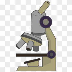 Microscope Clipart, HD Png Download - microscope clipart png