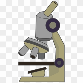 Free Microscope Clipart PNG Images, HD Microscope Clipart PNG Download ...