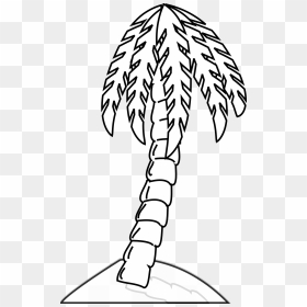 Palm Tree Line Art - Tree Vector Coloring, HD Png Download - trees elevation png