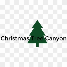 Christmas Tree Canyon-logo - Christmas Tree, HD Png Download - trees elevation png