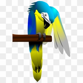 Blue And Yellow Macaw Parrot Clip Arts - Blue-and-yellow Macaw, HD Png Download - parrot png images