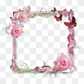 Transparent Clipart Gratuit - Pink Rose Flower, HD Png Download - pink rose flower png