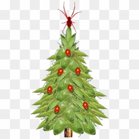 Christmas Tree Closeup - Xmas Tree, HD Png Download - x mas tree png