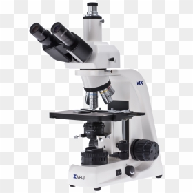 Microscope Png - Microscopy Png, Transparent Png - microscope clipart png