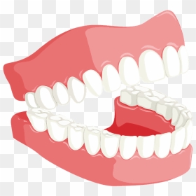 Transparent Brush Teeth Clipart - Teeth For Dentist, HD Png Download - teeth clipart png