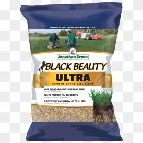 Black Beauty Grass Seed, HD Png Download - grass plan png