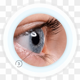 Eyelids Side View, HD Png Download - eyes lens png