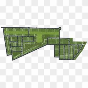 File - Web, HD Png Download - grass plan png
