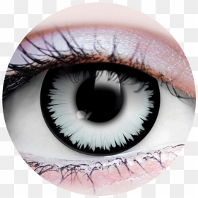 Werewolf Contact Lenses White, HD Png Download - eyes lens png