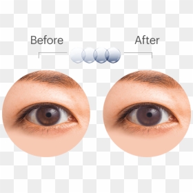 Oasys Transition Eyediagram - Acuvue Oasys With Transitions, HD Png Download - eyes lens png