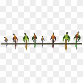 The Runescape Wiki - King Penguin, HD Png Download - parrot png images