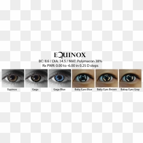Equinox Cosmetic Contact Lenses - Eye Shadow, HD Png Download - eyes lens png