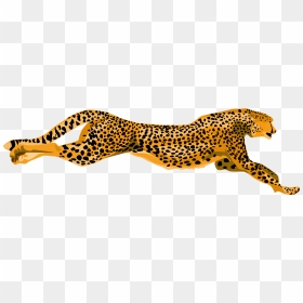 Cheetahs Clipart, HD Png Download - teeth clipart png