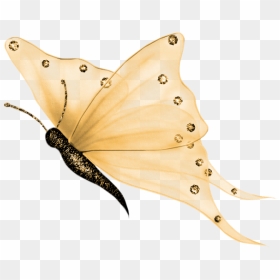 Png Pictures For Photoscape, Transparent Png - png pictures for photoscape