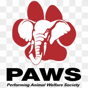 Performing Animal Welfare Society Charities, HD Png Download - paws png