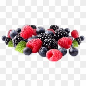 Berry, HD Png Download - mixed fruit png