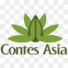 Contesasia 2m3j2m3j2m Final - Graphic Design, HD Png Download - kerala elephant png