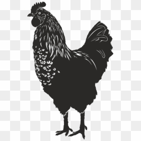 Gallina Silueta Png, Transparent Png - hen png images
