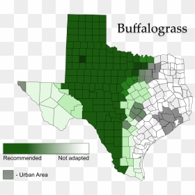 Buffalograss Map - Atlas, HD Png Download - grass plan png