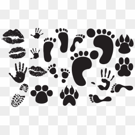 Paws Png, Transparent Png - paws png