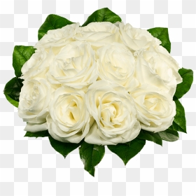 Dozen White Roses, HD Png Download - flower bokeh gift png
