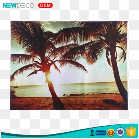 Oil Painting, HD Png Download - beach coconut tree png