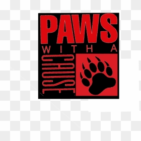Paws1 - Bear, HD Png Download - paws png