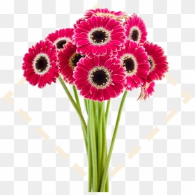 Picture Offlowers Svg Stock Welcome To Bayview Flowers - Good Afternoon, HD Png Download - welcome flowers png