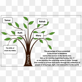 During Advent And Christmas, Remembering This Strange - Simple Family Tree Drawing, HD Png Download - mother mary png
