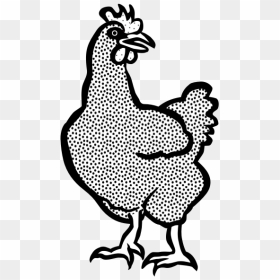 Coloring Book Image Of A Hen - Imagem Da Galinha Xadrez Para Colorir, HD Png Download - hen png images