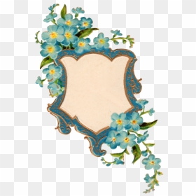 Forget Me Not Png Picture - Portable Network Graphics, Transparent Png - not png