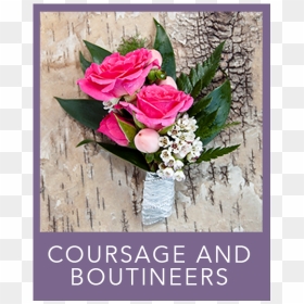 Coursage And Boutineers - Garden Roses, HD Png Download - welcome flowers png
