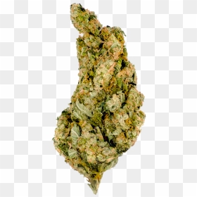 Giant Skittlez Bud Marijuana - Giant Skittlez, HD Png Download - weed nugget png
