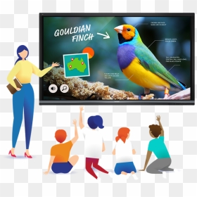 Viewsonic, HD Png Download - teaching png