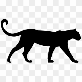 Snow Leopard Silhouette At - Leopard Clipart Silhouette, HD Png Download - cougar png