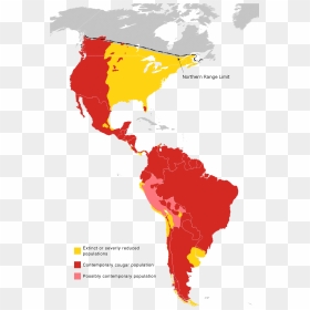Cougar Range Map 2010 - Latin America, HD Png Download - cougar png