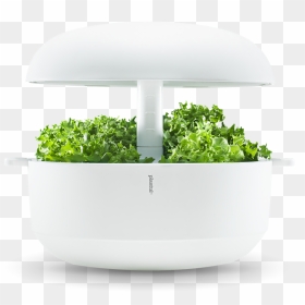 Plantui 6 Smart Garden, HD Png Download - grass plan png