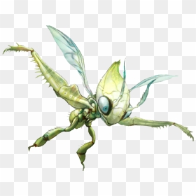 Pokémon X And Y Insect Invertebrate Fauna Membrane - Realistic Pokemon Celebi, HD Png Download - celebi png