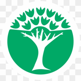 Eco Ecole, HD Png Download - college icon png