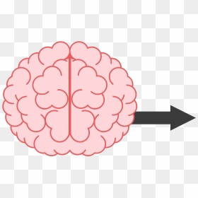 Brain With Right Arrow - Brain, HD Png Download - clickbait arrow png