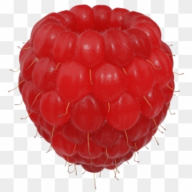 Hindbær Png, Transparent Png - berry png