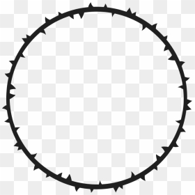 Crown Of Thorns Thorns, Spines, And Prickles Gender - Crown Of Thorns Circle Png, Transparent Png - corona de espinas png