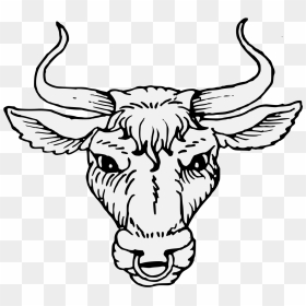 Cattle Heraldry Artist Ox - Ox Head Horn Png, Transparent Png - bull head png