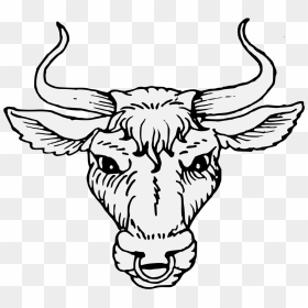 Bull Head Clipart , Png Download - Head Bull, Transparent Png - vhv