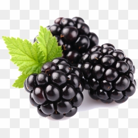 Blackberry Fruit Free Download Png - Blackberry Blue Berry Fruit, Transparent Png - berry png