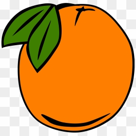 Cartoon Orange Tree - Orange Clipart, HD Png Download - annoying orange png