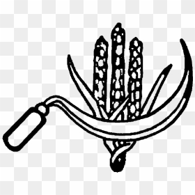 Indian Election Symbol Ears Of Corn And Sickle - Communist Party Of India Cpi Symbol, HD Png Download - sickle png