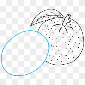 How To Draw Orange - Line Art, HD Png Download - annoying orange png