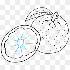 How To Draw Orange - Line Art, HD Png Download - annoying orange png