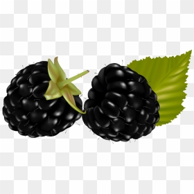 Berry Png, Transparent Png - berry png